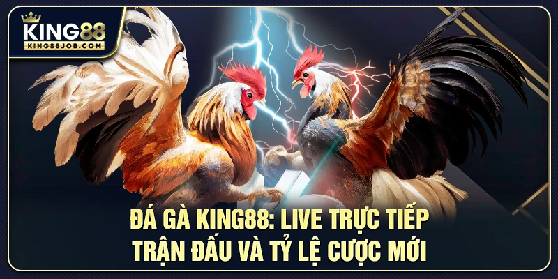 Đá Gà King88