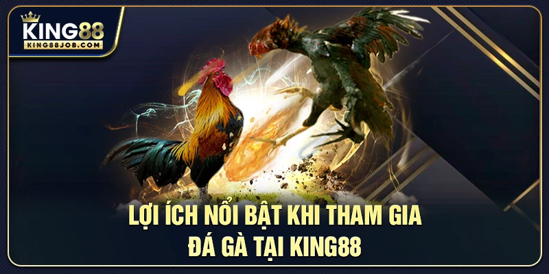 Đá Gà King88: Live Trực Tiếp Trận Đấu Và Tỷ Lệ Cược Mới 3 Lợi ích nổi bật khi tham gia đá gà tại King88