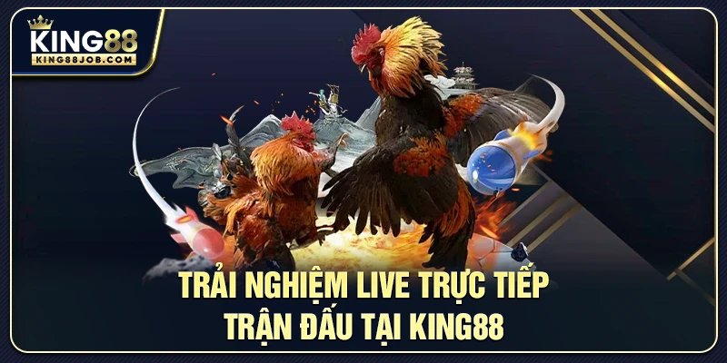 Đá Gà King88: Live Trực Tiếp Trận Đấu Và Tỷ Lệ Cược Mới 1 Trải nghiệm Live Trực Tiếp Trận Đấu tại King88